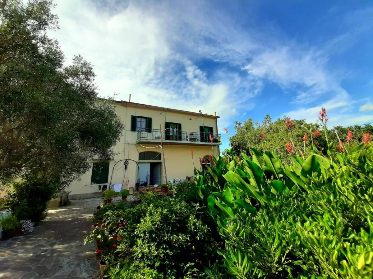 Villa Very II Marina di Campo Zimmer foto